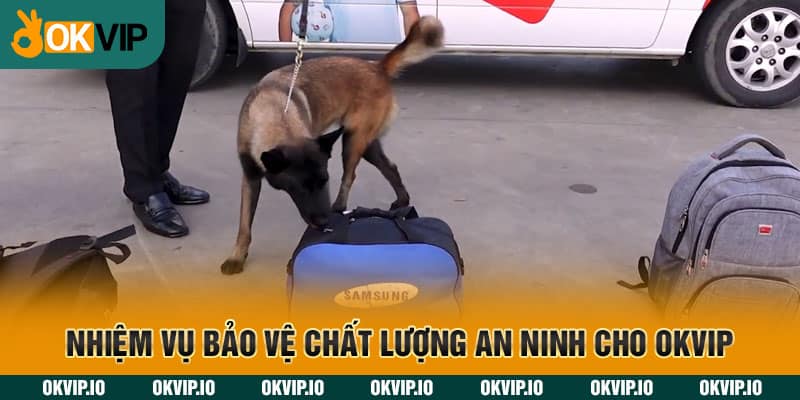 Nhiệm vụ bảo vệ chất lượng an ninh cho OKVIP