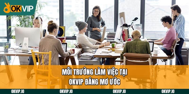 Môi trường làm việc tại OKVIP đáng mơ ước