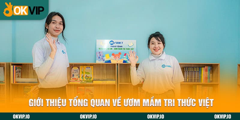 Giới thiệu tổng quan về Ươm Mầm Tri Thức Việt